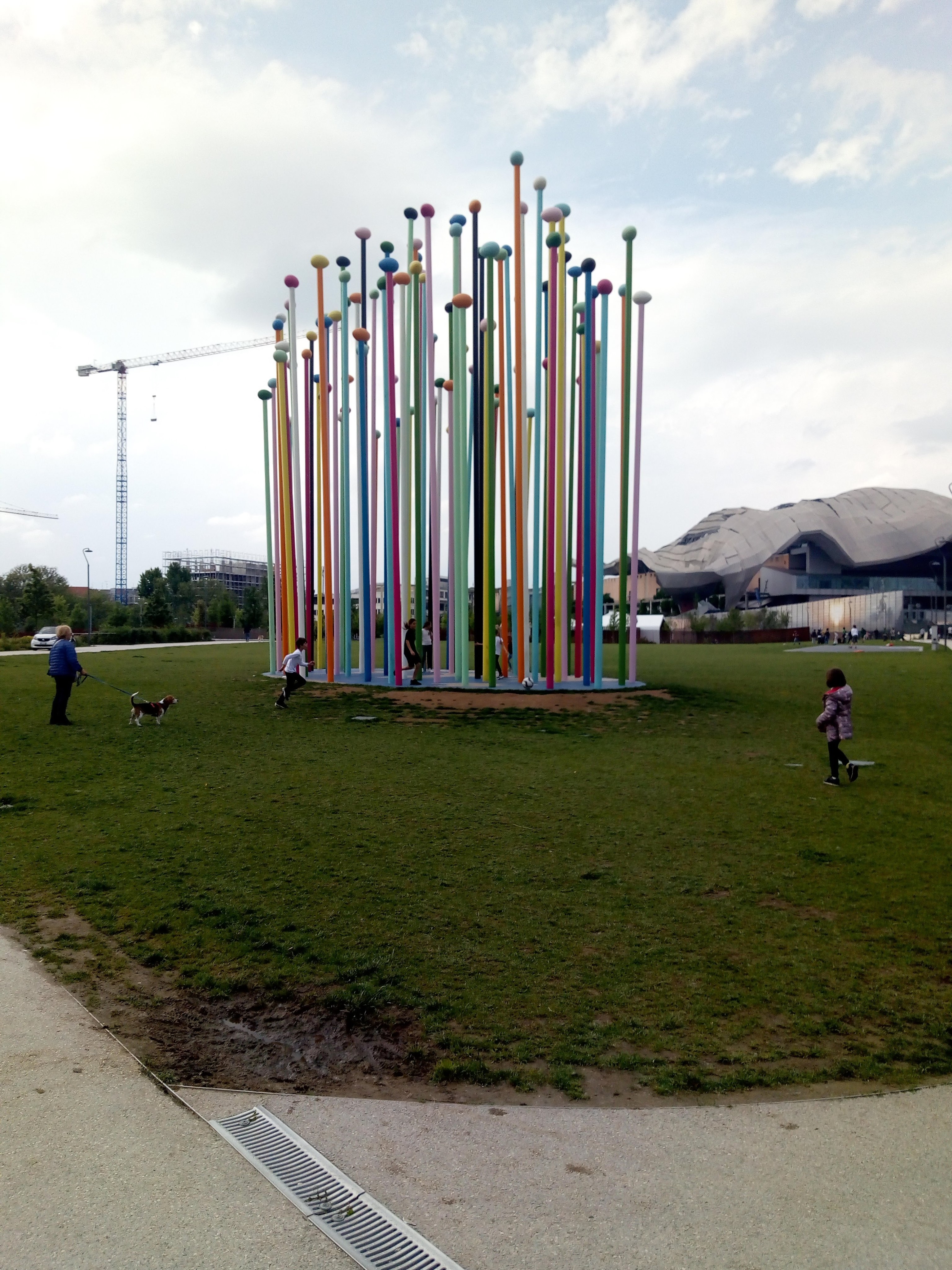 img_20190511_163658390