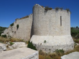 IMG_0607
