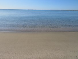 IMG_0627